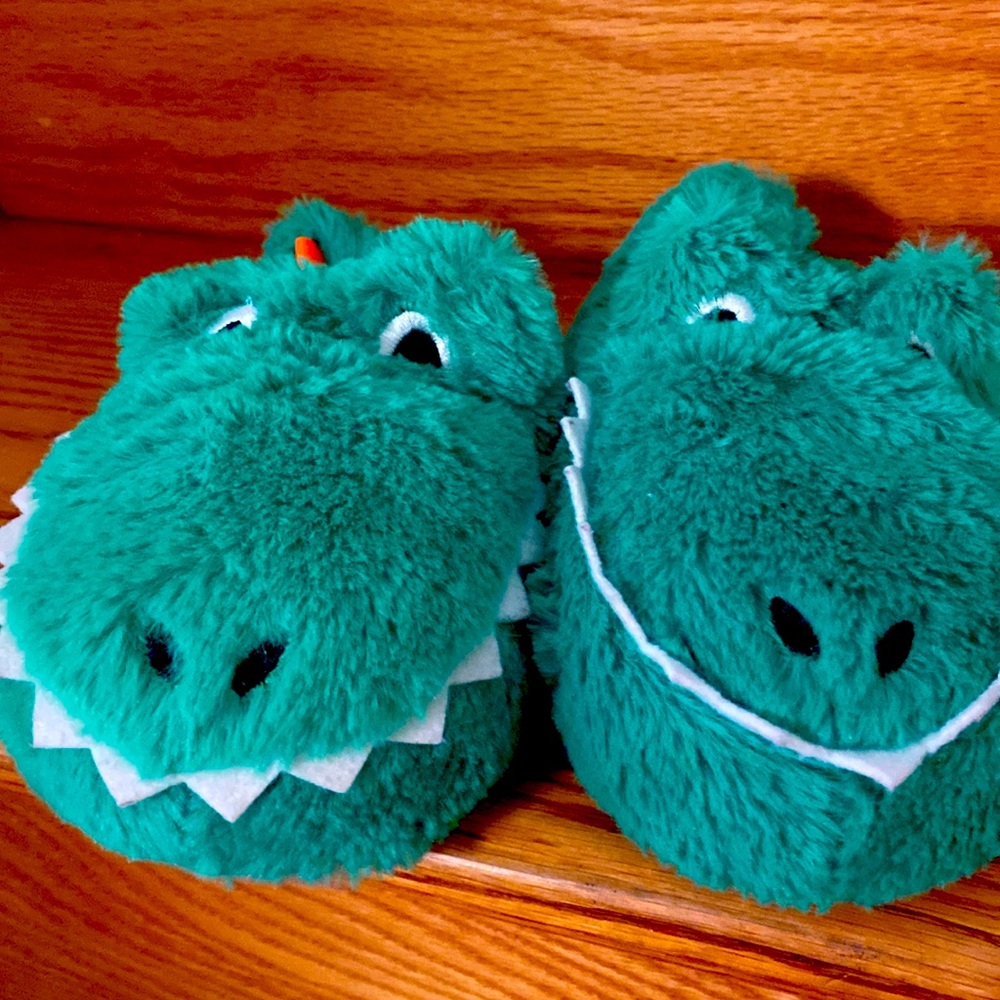 Alligator Slippers